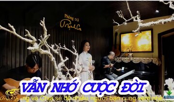Vẫn Nhớ Cuộc Đời | Hồng Hải | Phòng Trà Trịnh Ca | Nhạc Phòng Trà Hay Nhất