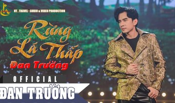 RỪNG LÁ THẤP || ĐAN TRƯỜNG || ALBUM BO BOLERO