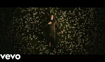 Shawn Mendes - In My Blood