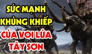 Kinh Sợ Trước Khả Năng Chiến Đấu Mãnh Liệt Của Đội Quân Voi Lửa Tây Sơn Khiến Cả Thế Giới Nể Phục