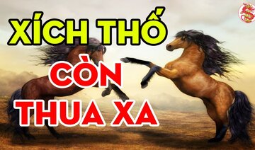Bằng Chứng Đây Là Con Tuấn Mã Nê Thông Của Vua Trần Duệ Tông... Xích Thố Thời Tam Quốc Còn Thua Xa