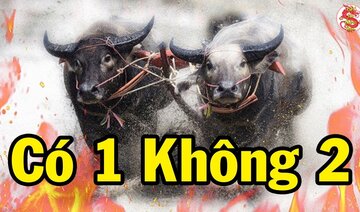 Hai Trận Hỏa Công Kinh Hồn Bạt Vía Của Việt Nam Khiến Cả Thế Giới Thán Phục - Bí Ẩn Lịch Sử Việt Nam