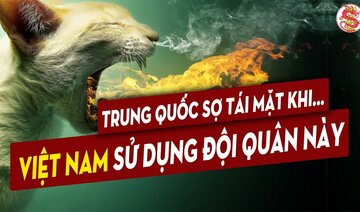 Hóa Ra Đây Là Cách Việt Nam Sử Dụng Những Kỳ Binh... Để Hủy Diệt Đối Thủ Trong Tro Tàn